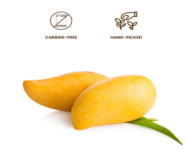 The Royal Mango in Houston, Texas ripe yellow Mangoes Carbide-free and hand picked